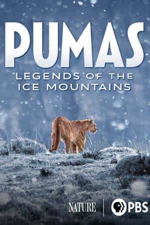 Pumas: Legends of the Ice Mountains's poster