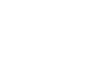 Election's poster