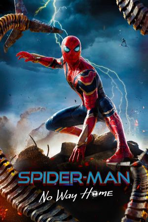 Spider-Man: No Way Home's poster