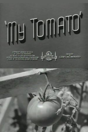 My Tomato's poster