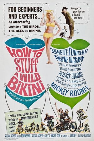 How to Stuff a Wild Bikini's poster