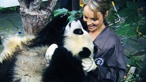 Sneezing Baby Panda: The Movie's poster