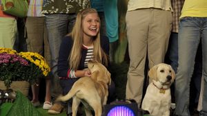 Marley & Me: The Puppy Years's poster