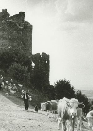 Stones, Castles and Men's poster