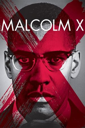 Malcolm X's poster