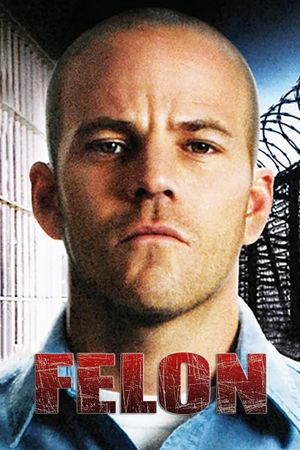 Felon's poster