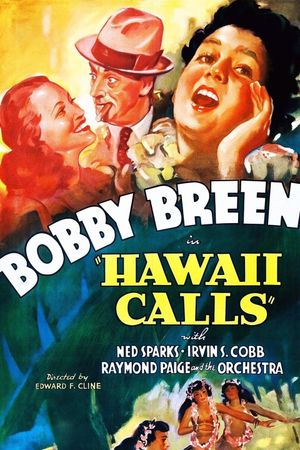Hawaii Calls's poster