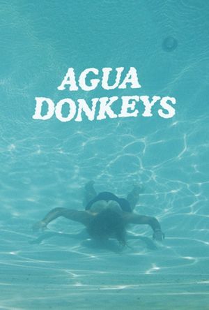 Agua Donkeys's poster