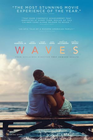 Waves's poster