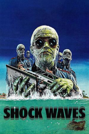 Shock Waves's poster