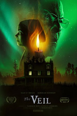 The Veil's poster