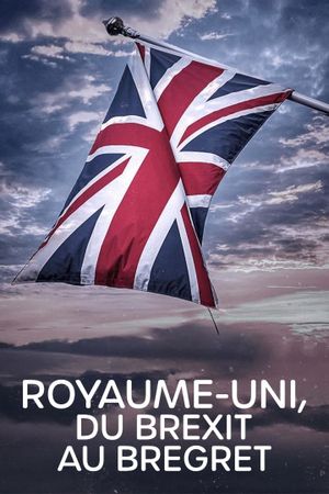 Royaume-Uni, du Brexit au Bregret's poster image