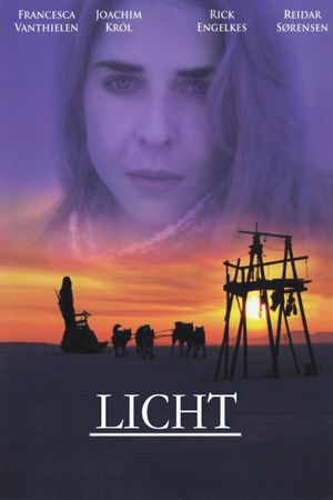 When the Light Comes's poster