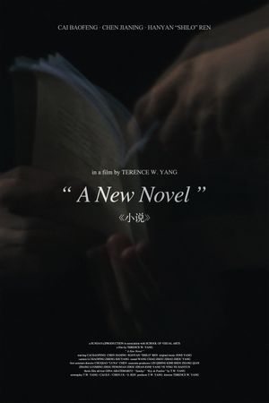 A New Novel's poster