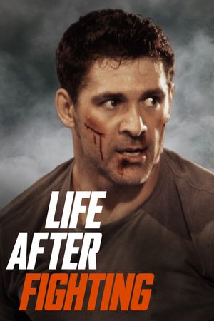 Life After Fighting's poster image