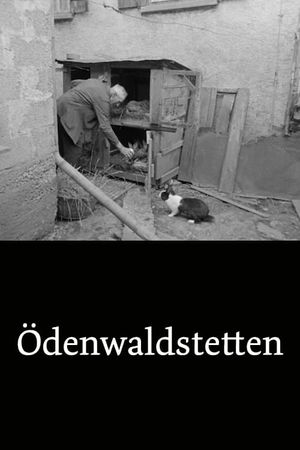 Ödenwaldstetten's poster