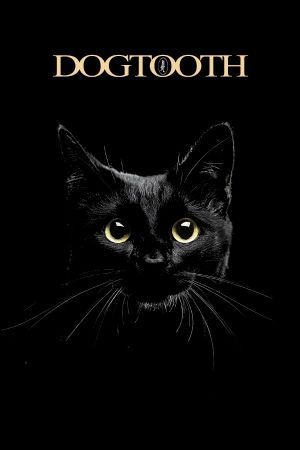 Dogtooth's poster