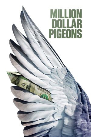 Million Dollar Pigeons's poster