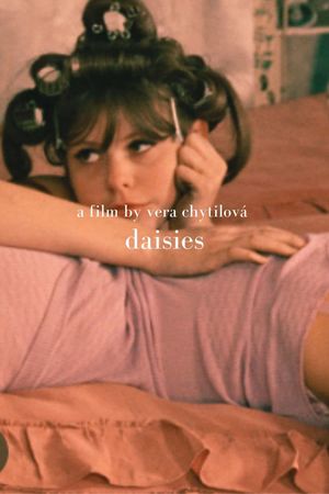 Daisies's poster