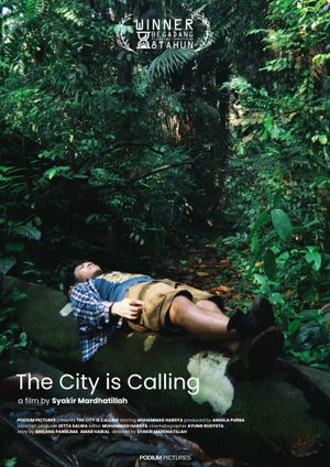 The City is Calling's poster image