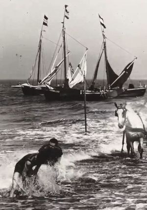 Scheveningen, Dutch Fishing Boats's poster