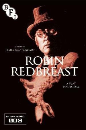 Robin Redbreast's poster