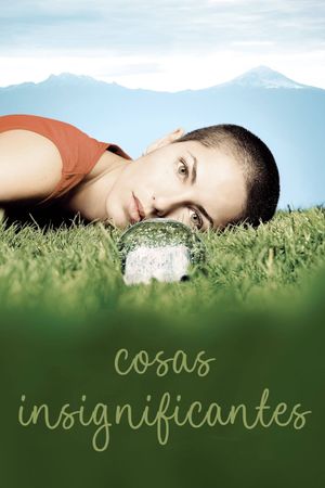 Insignificant Things's poster