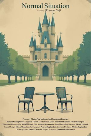 Normal Situation's poster