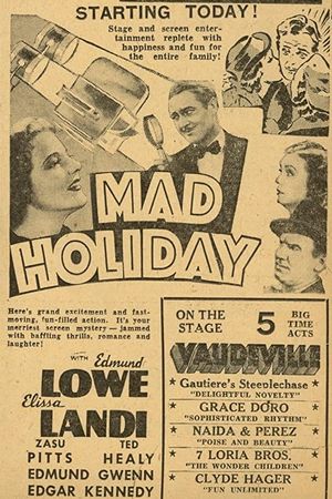 Mad Holiday's poster