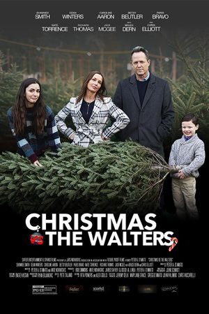 Christmas vs. The Walters's poster