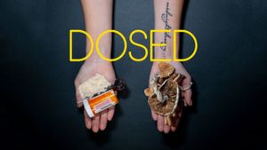 Dosed's poster