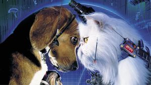 Cats & Dogs's poster