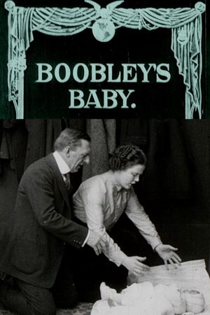 Boobley's Baby's poster