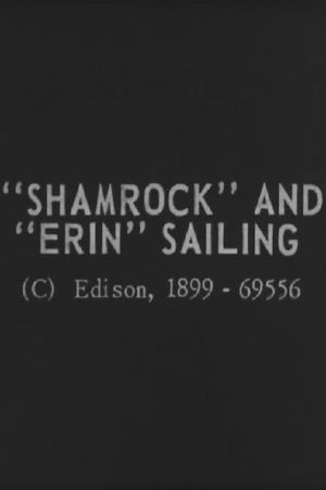"Shamrock" and "Erin" Sailing's poster
