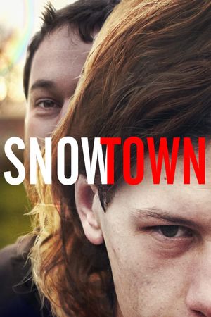 Snowtown's poster