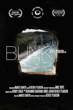 Blink's poster