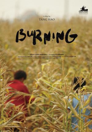 Burning's poster image