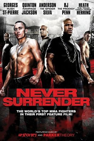 Never Surrender's poster