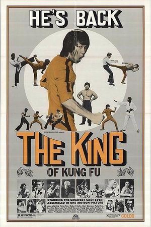 Enter the Game of Death's poster