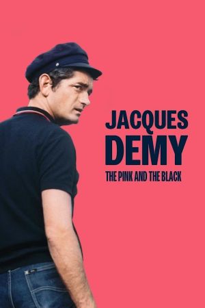 Jacques Demy, the Pink and the Black's poster