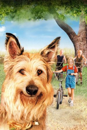 Because of Winn-Dixie's poster