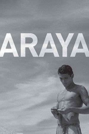 Araya's poster image