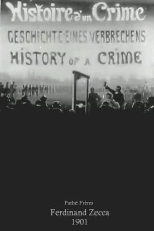 History of a Crime's poster