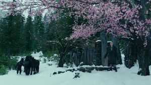 War for the Planet of the Apes's poster