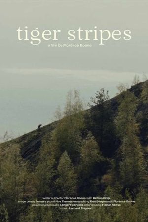 Tiger Stripes's poster