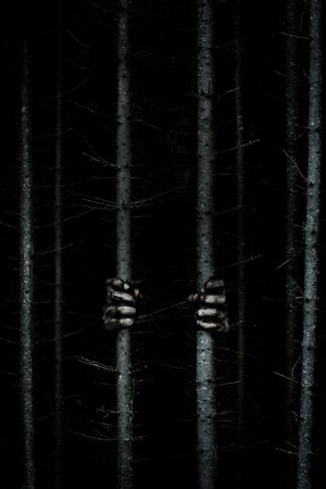 Blair Witch's poster
