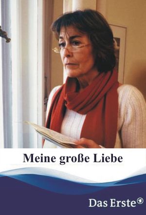 Meine große Liebe's poster