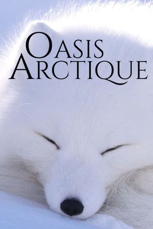 Oasis Arctique's poster