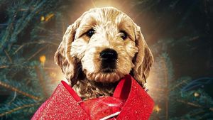 The Christmas Doodle's poster