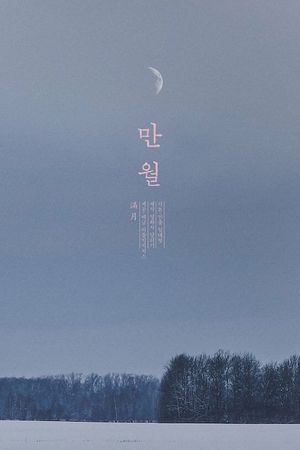 Moonlit Winter's poster